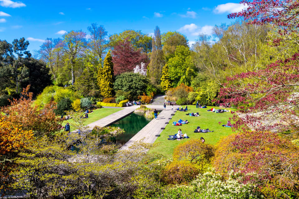 The Hill Garden and Pergola
