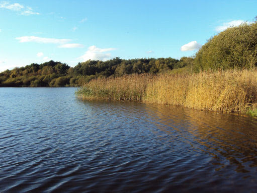 Hatchmere Lake (Delamere Forest)